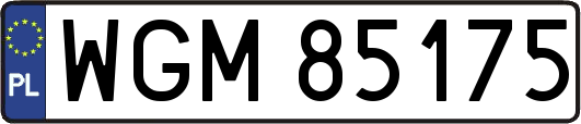 WGM85175