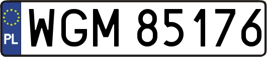 WGM85176