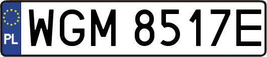 WGM8517E