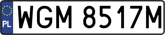 WGM8517M