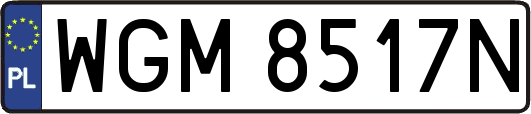 WGM8517N