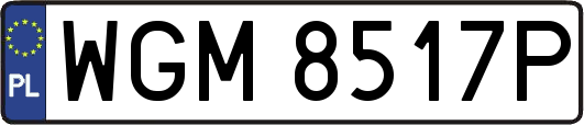 WGM8517P