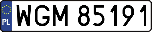 WGM85191