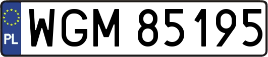 WGM85195