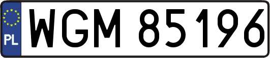 WGM85196