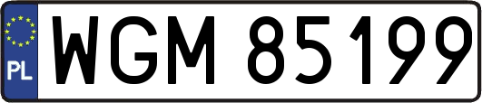 WGM85199