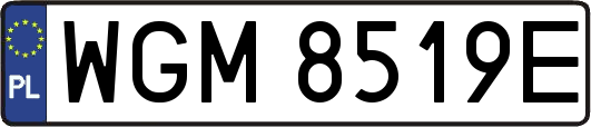 WGM8519E