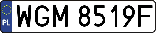 WGM8519F