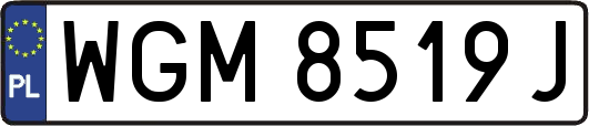 WGM8519J
