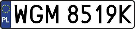 WGM8519K