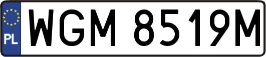 WGM8519M