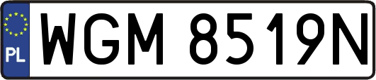 WGM8519N