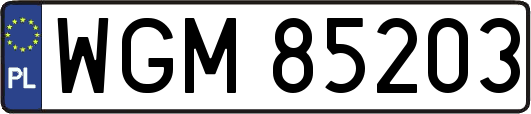 WGM85203