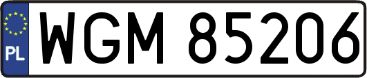 WGM85206