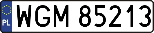 WGM85213