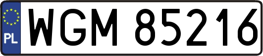 WGM85216