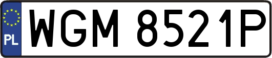 WGM8521P