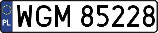 WGM85228