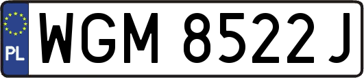WGM8522J
