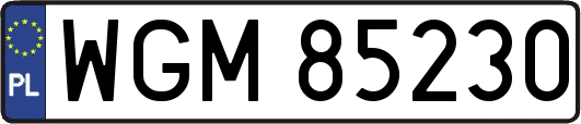 WGM85230