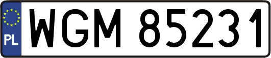 WGM85231