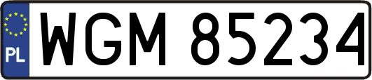 WGM85234