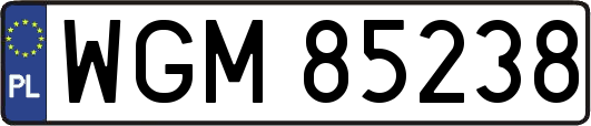 WGM85238