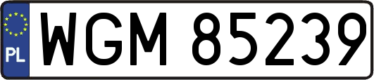 WGM85239