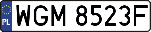 WGM8523F