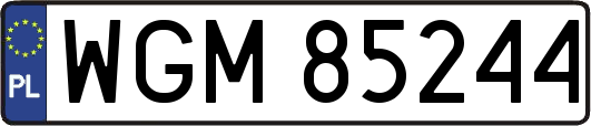 WGM85244