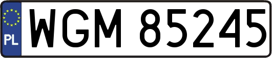 WGM85245