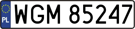 WGM85247