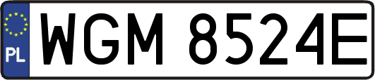 WGM8524E