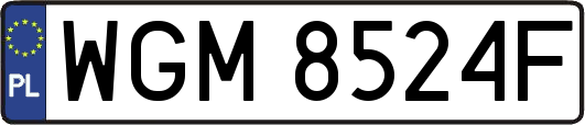 WGM8524F