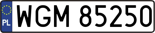 WGM85250