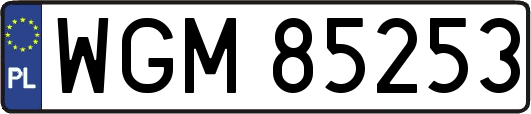 WGM85253