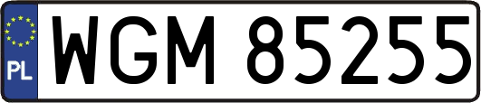 WGM85255