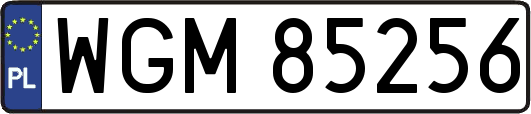 WGM85256