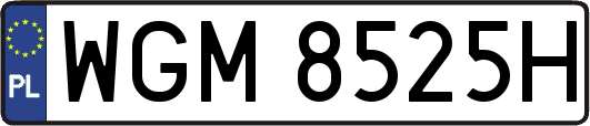 WGM8525H