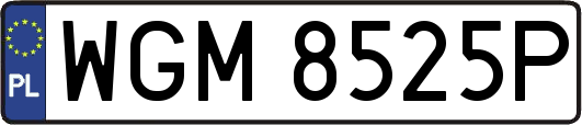 WGM8525P