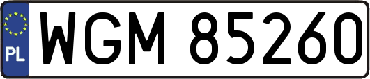 WGM85260