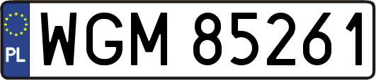 WGM85261