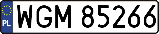 WGM85266