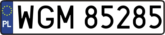WGM85285