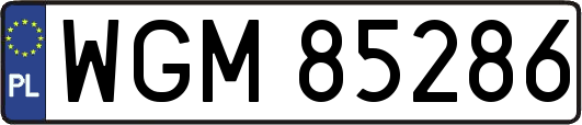 WGM85286