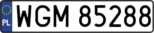 WGM85288