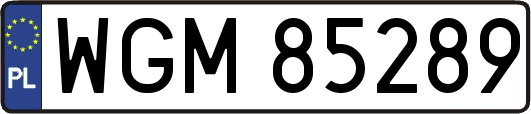 WGM85289