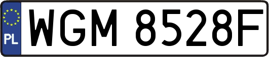WGM8528F