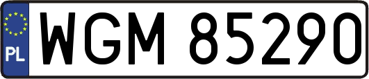 WGM85290