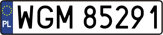 WGM85291